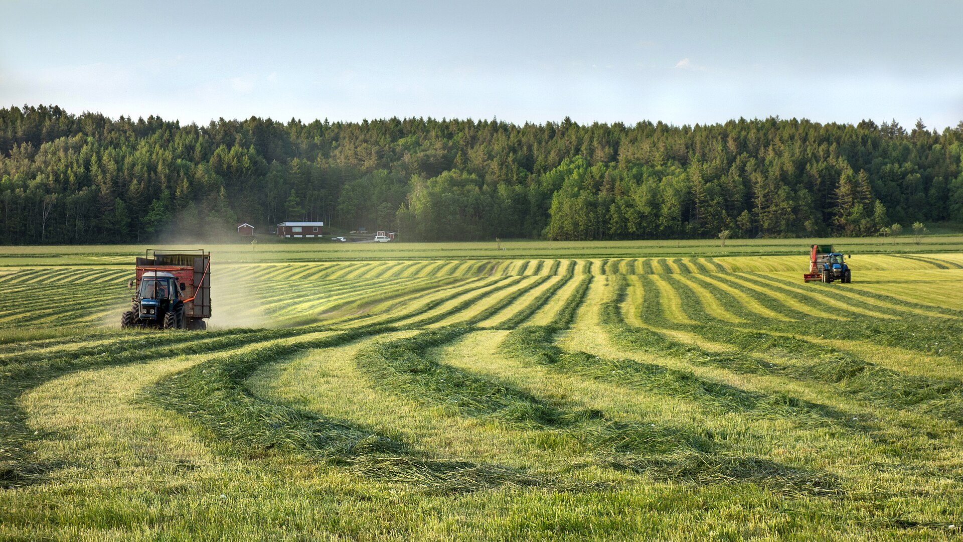 Linha de 33 milhões de euros reforça opções de financiamento ao agro-negócio